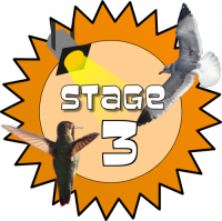 Stage 3 Award