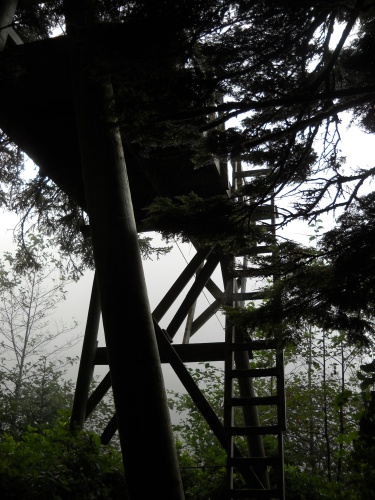 Carmanah Creek Cable Car