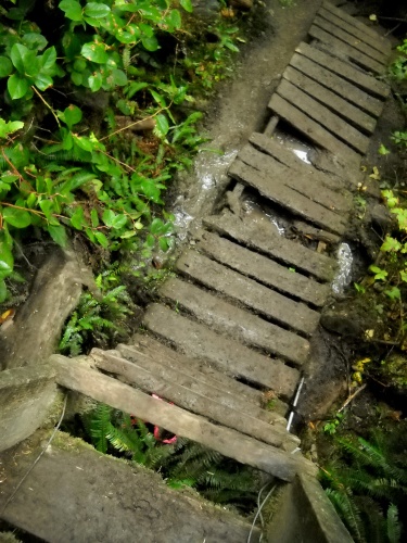 Dilapidated trail structures