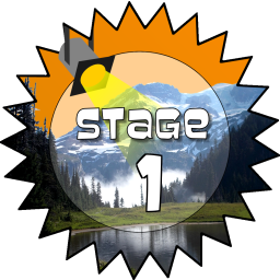 Stage 1 Award
