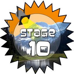 Stage 10 Award