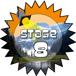 Stage 8 Award
