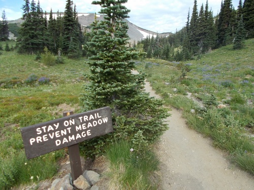 Stay on the trail! Prevent meadow damage!