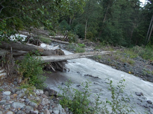 North Mowich River