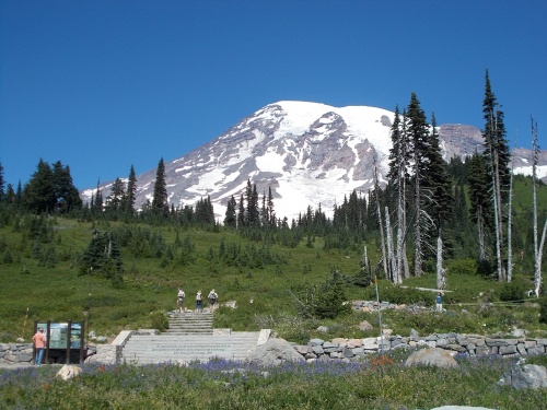 View from the Paradise Visitor Center