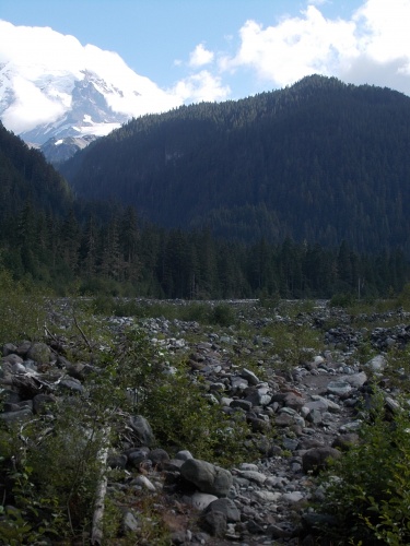 Carbon River