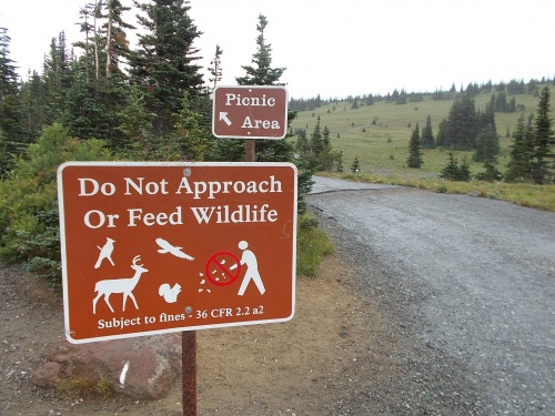 Don't feed the wildlife!