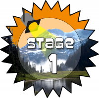 Stage 1 Award