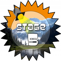 Stage 5 Award