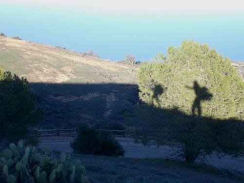 Shadow games
